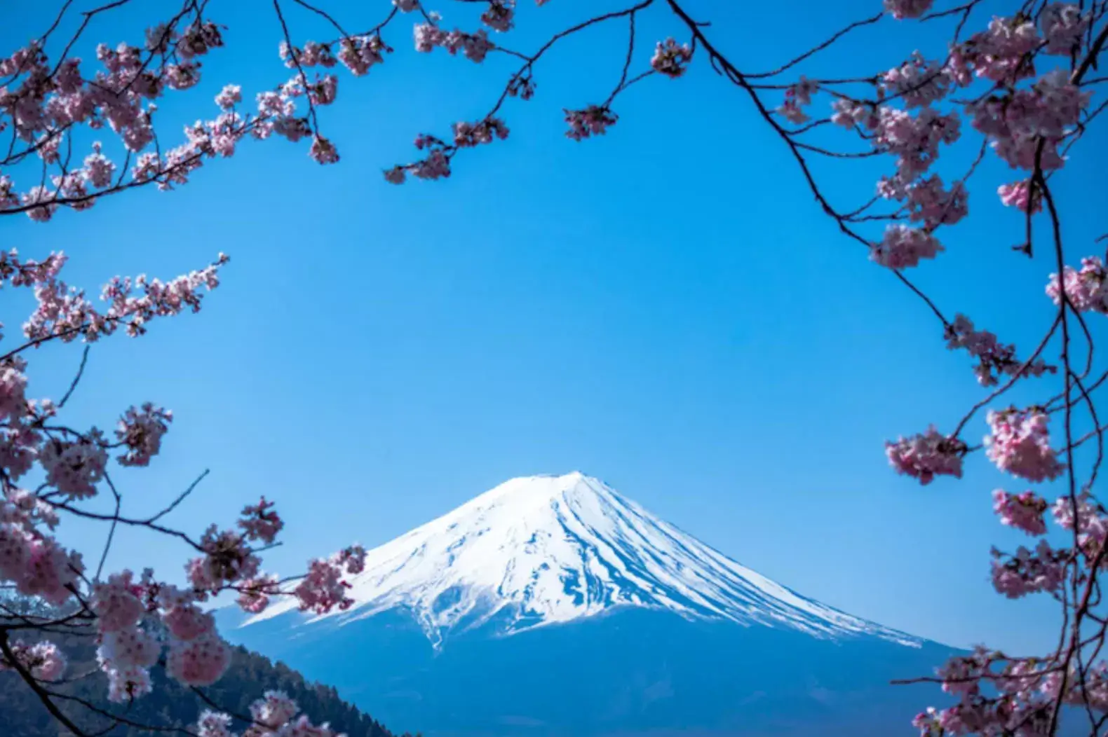 Travel to Mt. Fuji