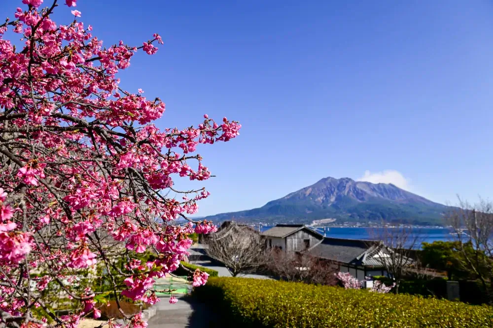 Kagoshimaへの旅行