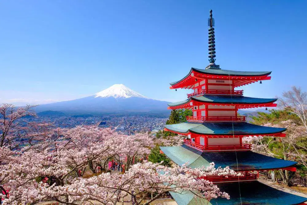 Shizuokaへの旅行